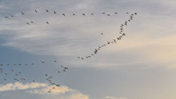 Lincolnshire, November 2021