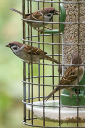 East Yorkshire, October 2024