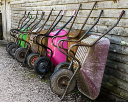 Arlington Court, May 2017