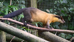 Exmoor, September 2024