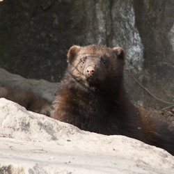 Stockholm, April 2015