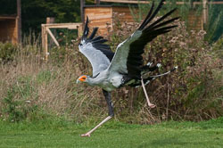 The Hawk Conservancy, September 2009 The Hawk Conservancy, September 2009