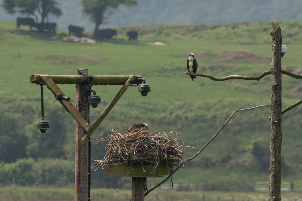 20160609NorthWales0060.jpg