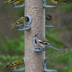 20130520Nant-Yr-Arian0200.jpg 20130520Nant-Yr-Arian0200.jpg