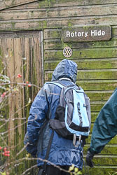 20191108Norfolk-Birds0092.jpg 20191108Norfolk-Birds0092.jpg