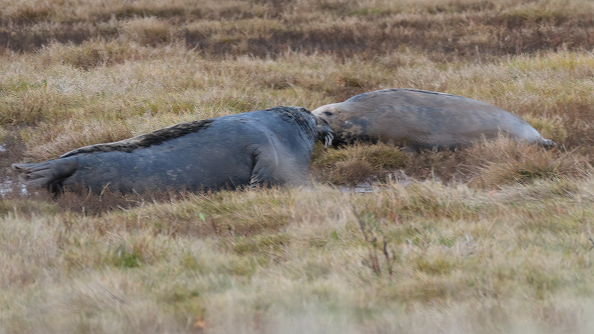 20211101Lincolnshire0012-Edit.jpg