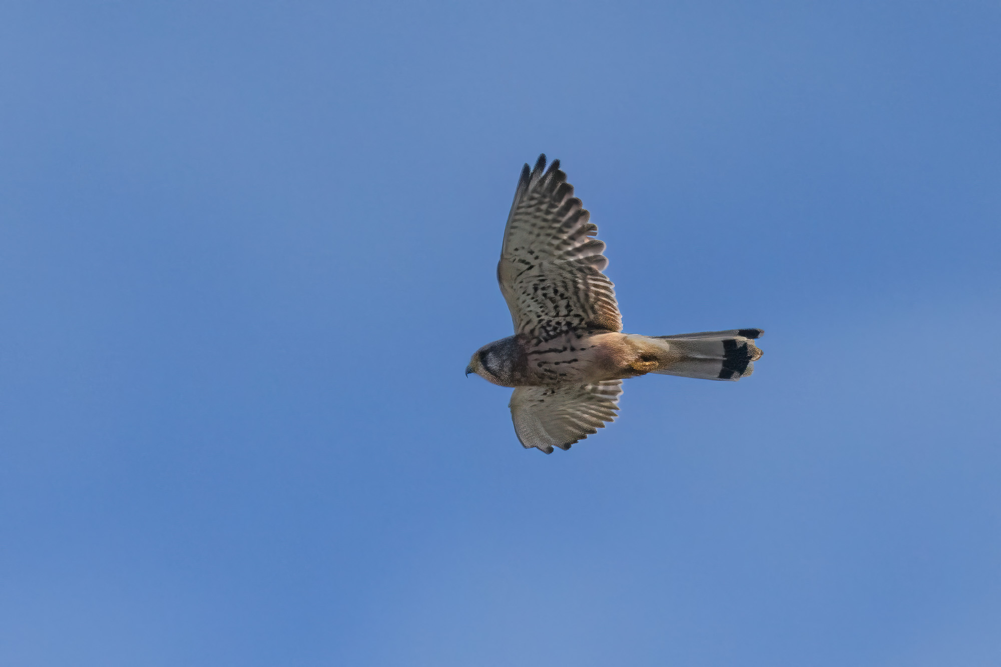 20211102Lincolnshire0045-Edit-Edit-Edit.jpg