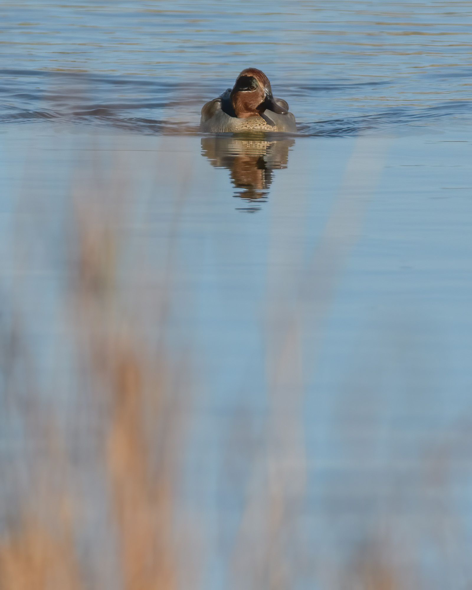 20211102Lincolnshire0066-Edit.jpg