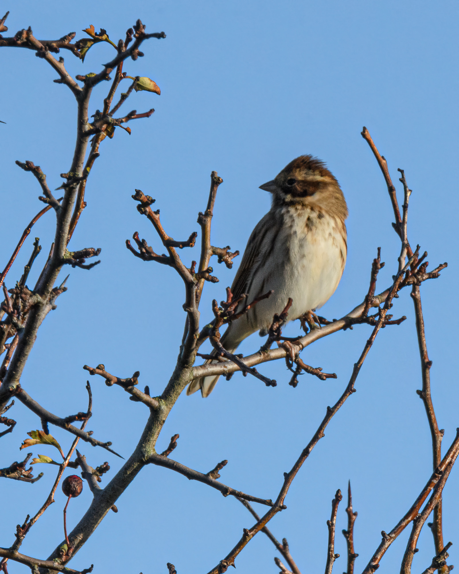 20211102Lincolnshire0198-Edit.jpg