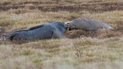 20211101Lincolnshire0012-Edit.jpg