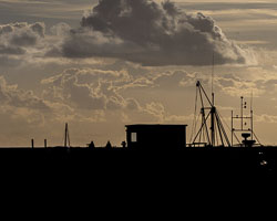 20211102Lincolnshire0194.jpg 20211102Lincolnshire0194.jpg