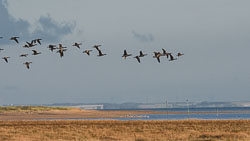 20211102Lincolnshire0208.jpg 20211102Lincolnshire0208.jpg