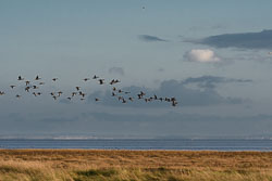 20211102Lincolnshire0210.jpg 20211102Lincolnshire0210.jpg