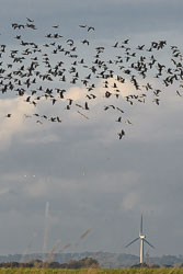 20211102Lincolnshire0215.jpg 20211102Lincolnshire0215.jpg