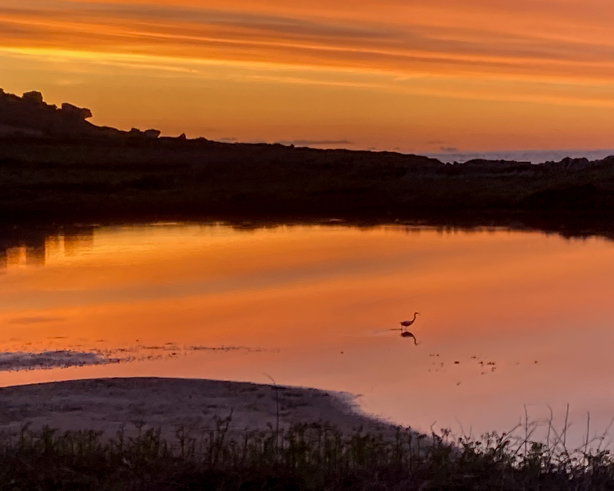20240501Scilly0009.jpg