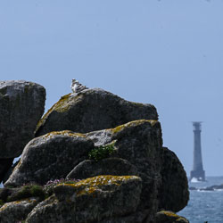 20240430Scilly156-Edit.jpg