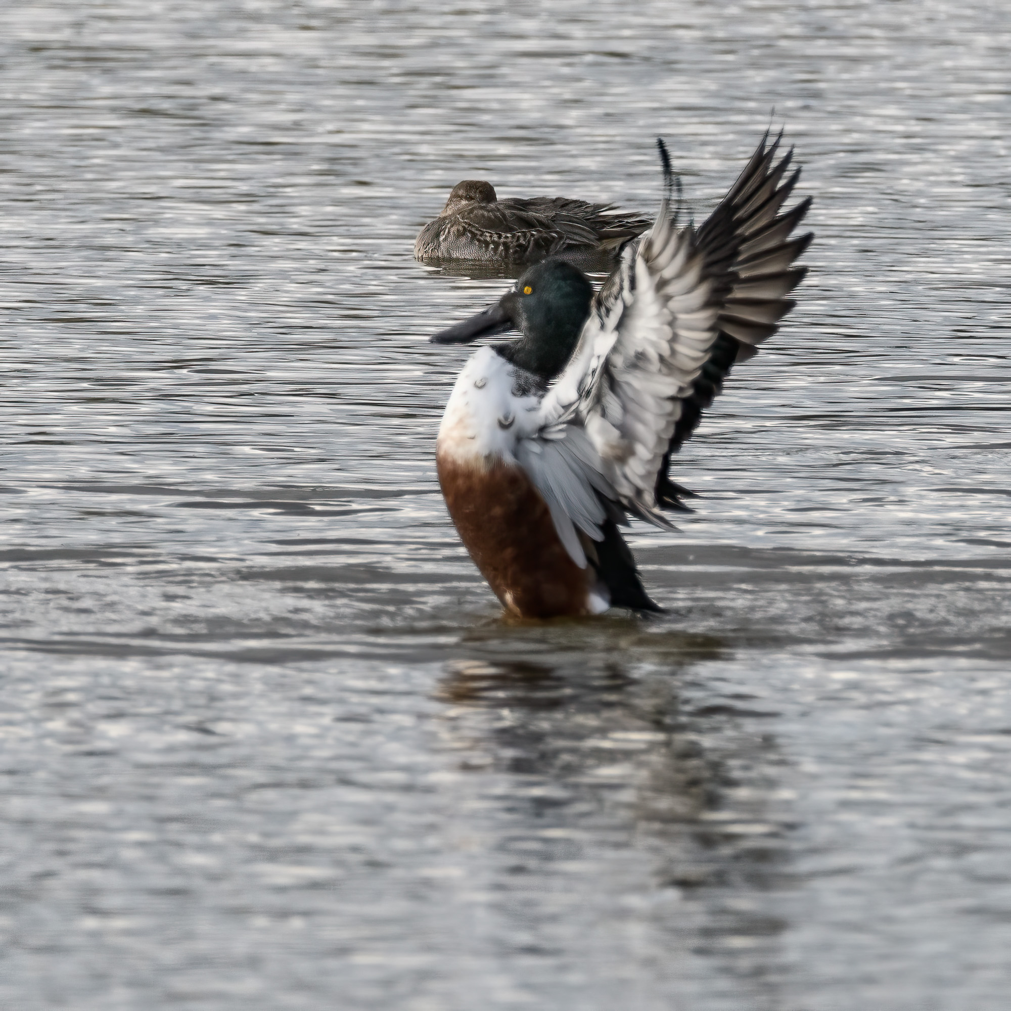 20241008East-Yorkshire0020-Edit.jpg