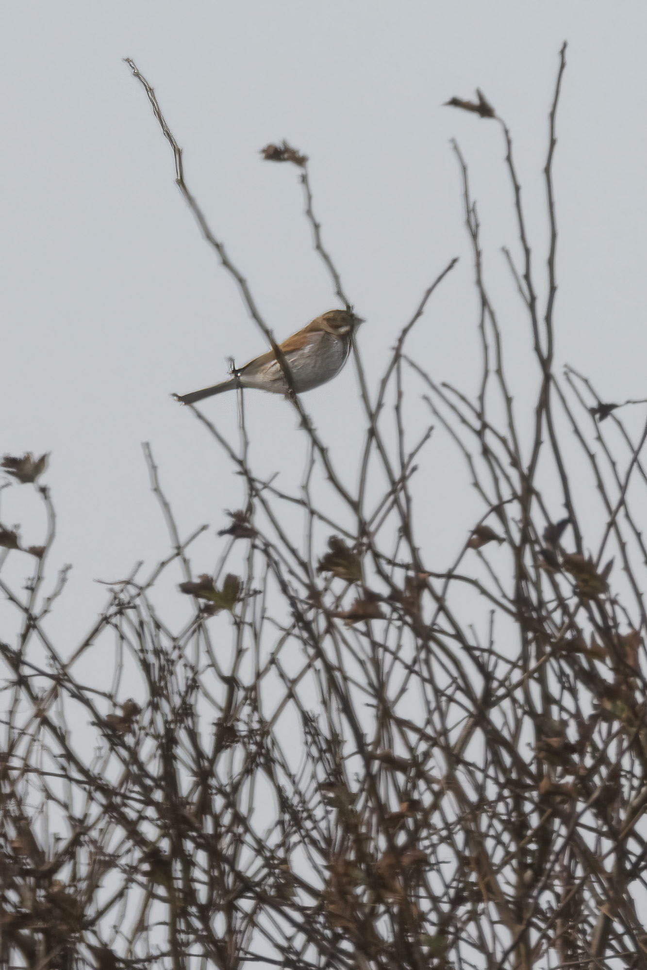 20241010East-Yorkshire0157-Edit.jpg