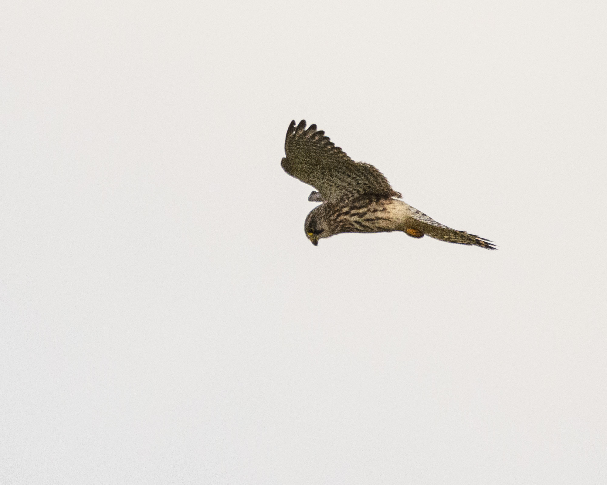 20241010East-Yorkshire0158.jpg