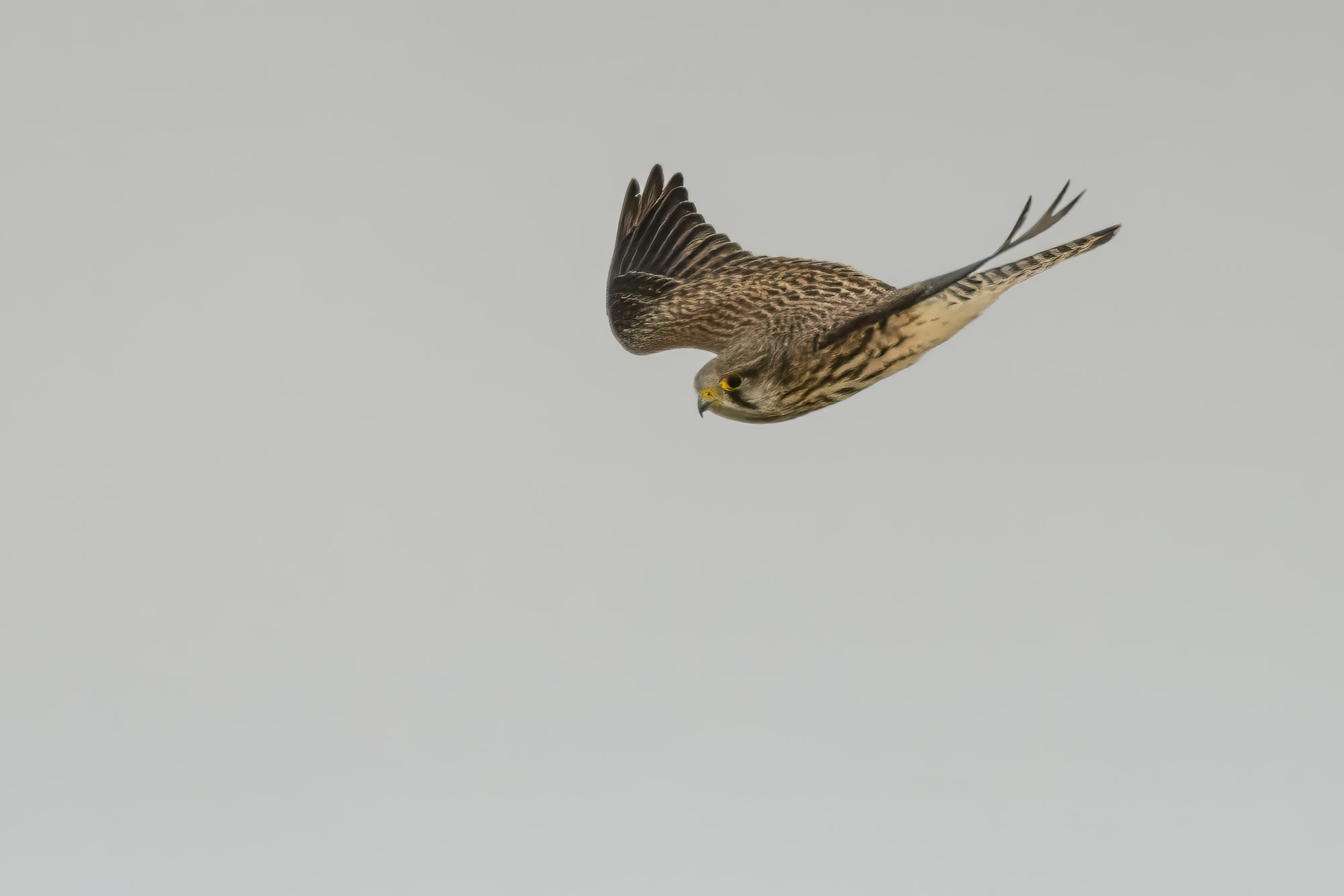 20241010East-Yorkshire0162-Edit.jpg