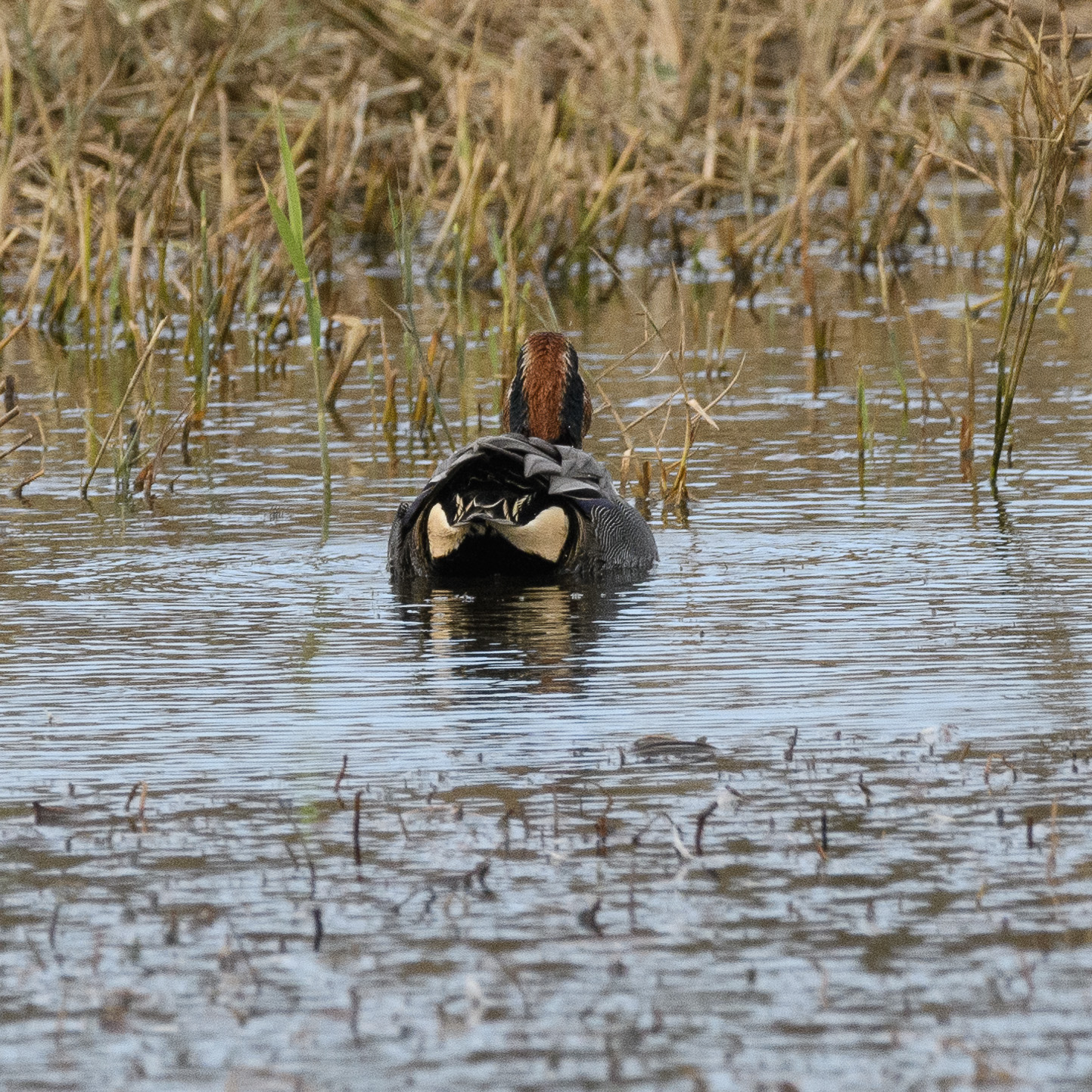20241010East-Yorkshire0175.jpg