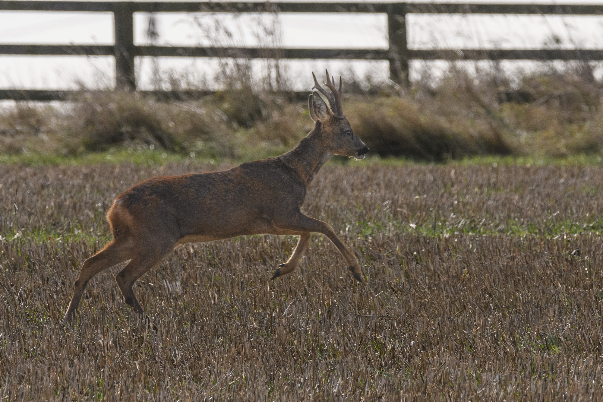 20241010East-Yorkshire0183.jpg