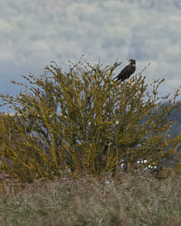 20241008East-Yorkshire0003-Edit-Edit.jpg