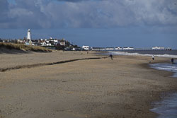 20250311SuffolkBirds0258.jpg 20250311SuffolkBirds0258.jpg