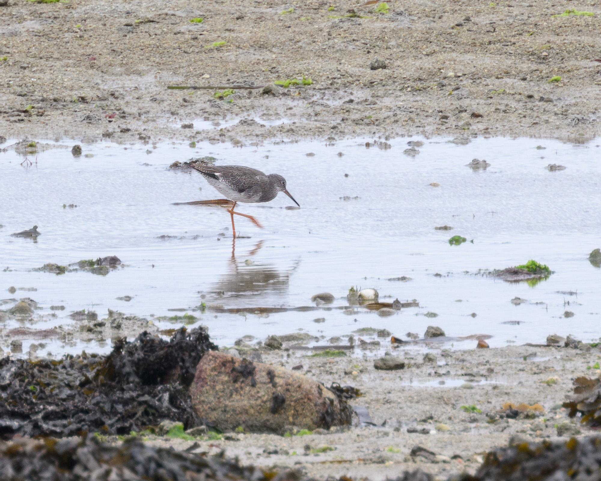 20250919Scilly0034-Edit.jpg