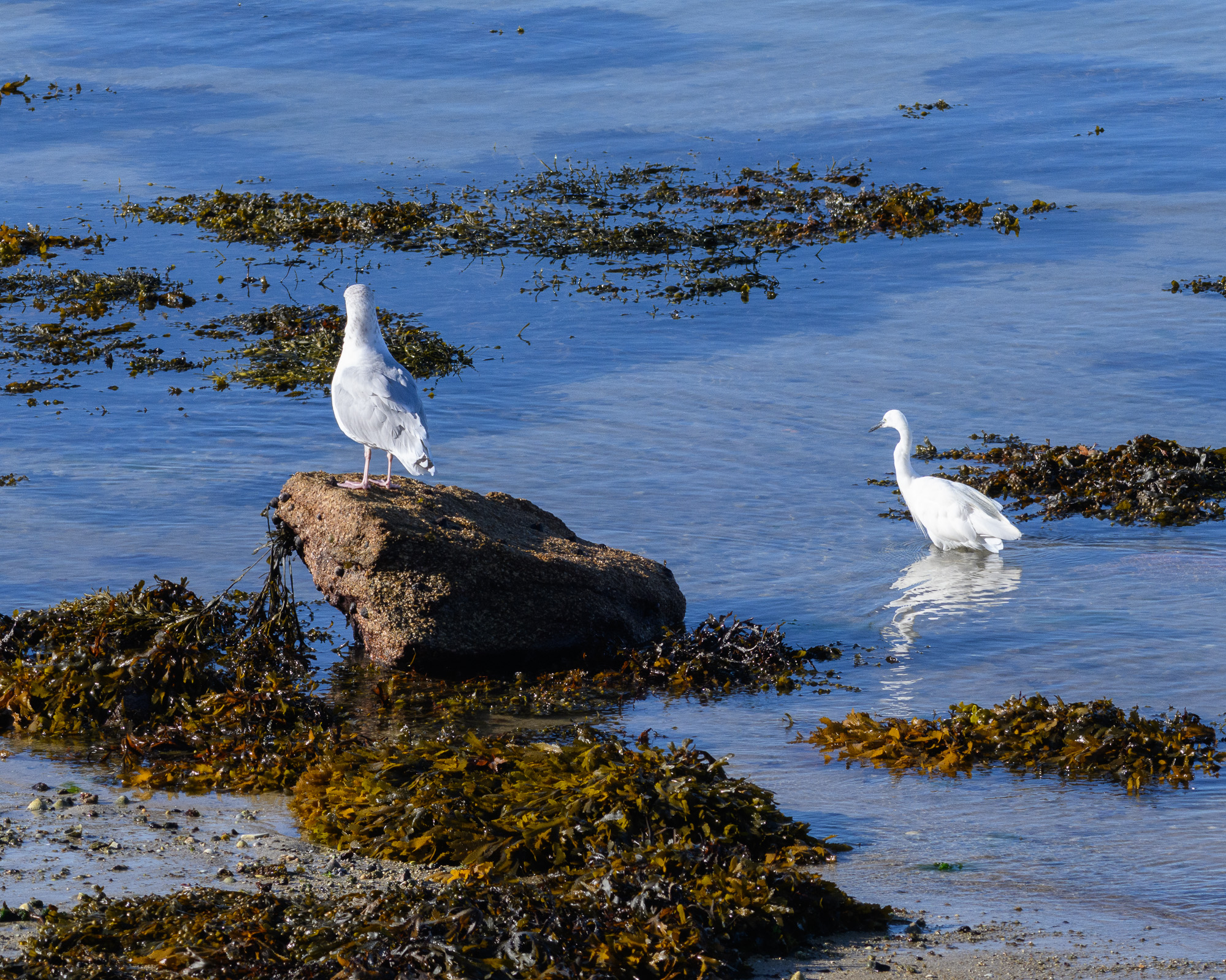 20250922Scilly0104.jpg