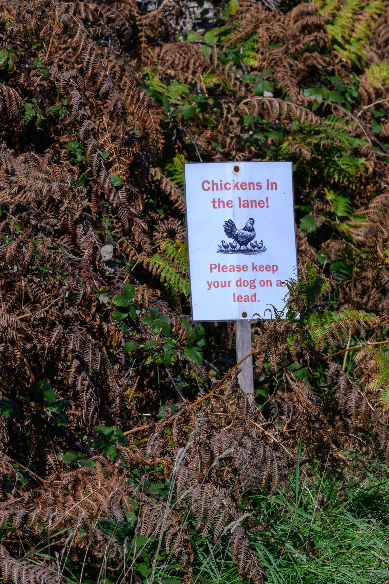 20250923Scilly0170.jpg