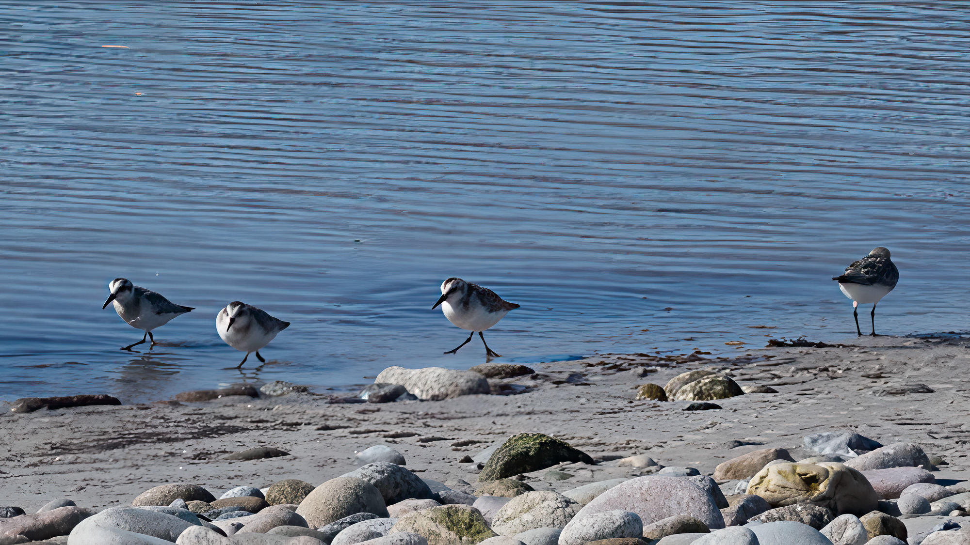 20250923Scilly0189-Edit.jpg