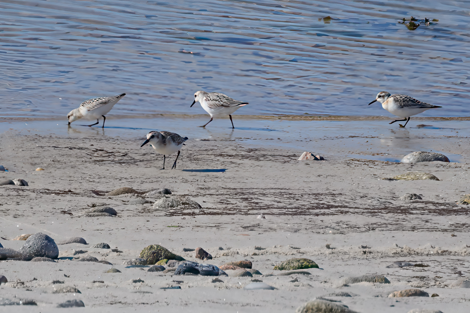20250923Scilly0190-Edit.jpg