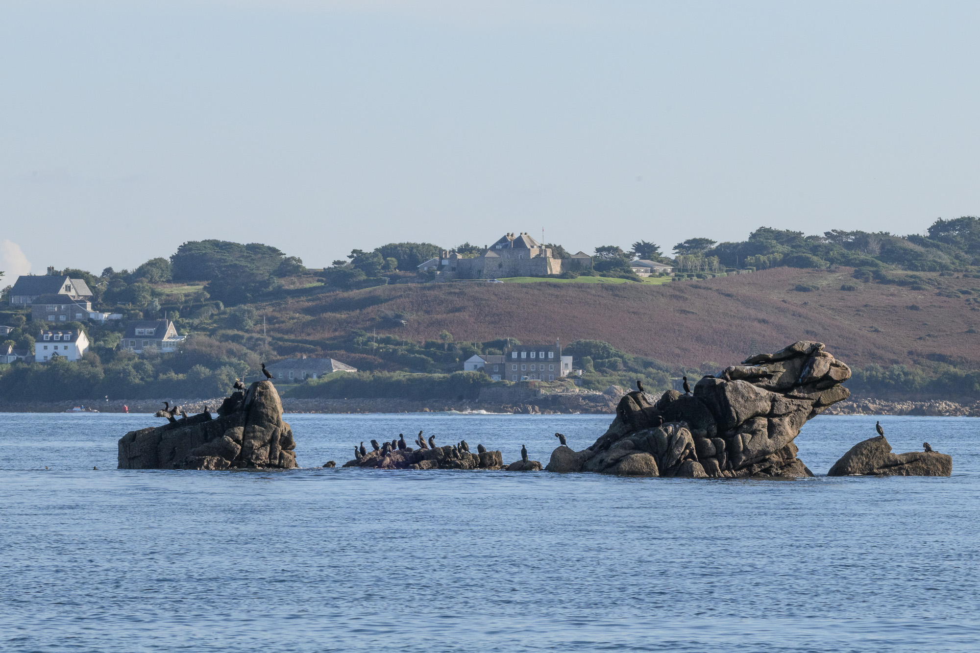20250924Scilly0278.jpg