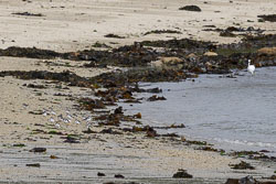 20250917Scilly0010.jpg