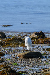 20250922Scilly0100.jpg