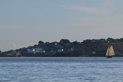 20250924Scilly0275.jpg