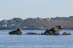 Isles of Scilly, September 2025 Isles of Scilly, September 2025