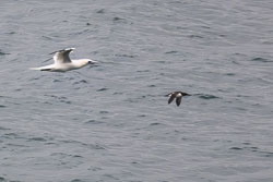 20251112South-Devon0015-Edit-2.jpg 20251112South-Devon0015-Edit-2.jpg