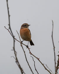 20251112South-Devon0025.jpg 20251112South-Devon0025.jpg