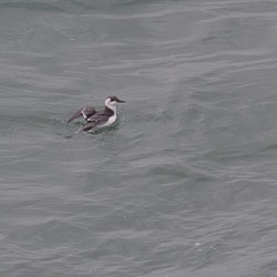 20251112South-Devon0054.jpg 20251112South-Devon0054.jpg