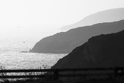 20251112South-Devon0067.jpg 20251112South-Devon0067.jpg