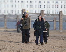 20251113South-Devon0164.jpg 20251113South-Devon0164.jpg