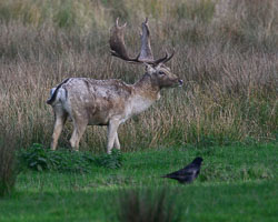 20251113South-Devon0170.jpg 20251113South-Devon0170.jpg