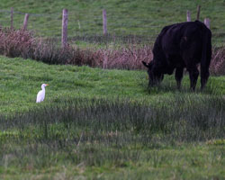 20251113South-Devon0173.jpg 20251113South-Devon0173.jpg