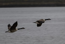 20251113South-Devon0197.jpg 20251113South-Devon0197.jpg