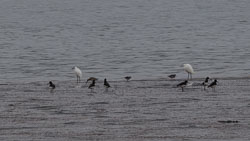 20251113South-Devon0214.jpg 20251113South-Devon0214.jpg