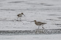 20251114South-Devon0218-Edit.jpg 20251114South-Devon0218-Edit.jpg