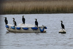 20251114South-Devon0243.jpg 20251114South-Devon0243.jpg