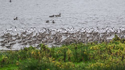 20251114South-Devon0254.jpg 20251114South-Devon0254.jpg